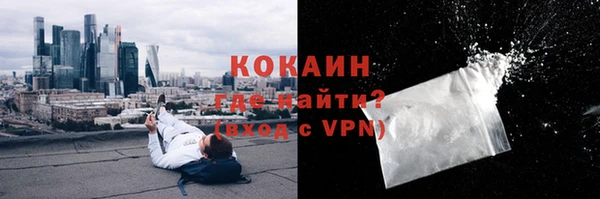 шишки Абинск