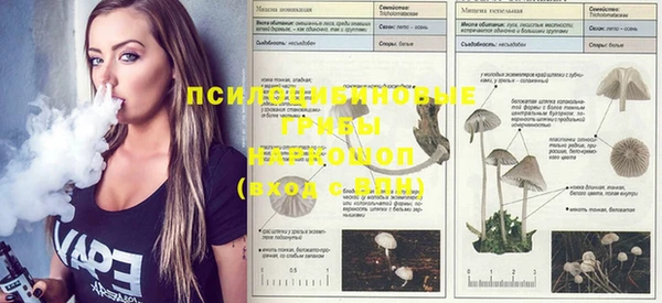 молекула духа Наволоки