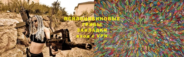 шишки Абинск